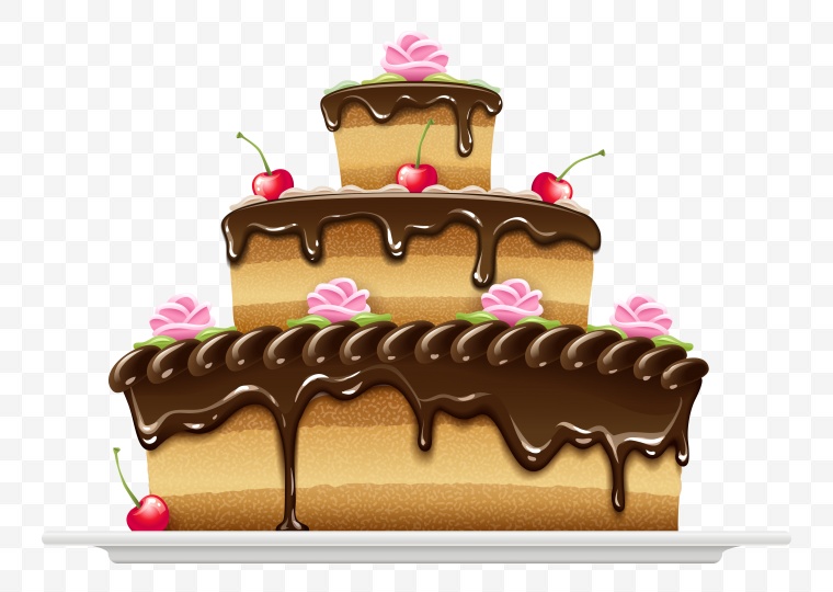 生日蛋糕 生日 蛋糕 过生 过生日 庆祝 蜡烛 巧克力蛋糕 