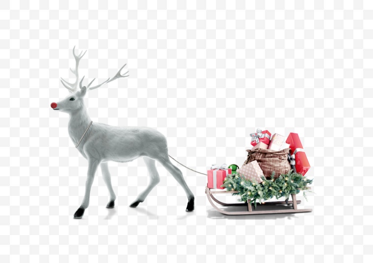 麋鹿 圣诞节麋鹿 圣诞麋鹿 驯鹿 圣诞驯鹿 圣诞节驯鹿 圣诞 圣诞节 