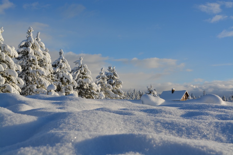 雪地 雪 雪景 冬天 冬季 风雪 唯美 圣诞节 圣诞 