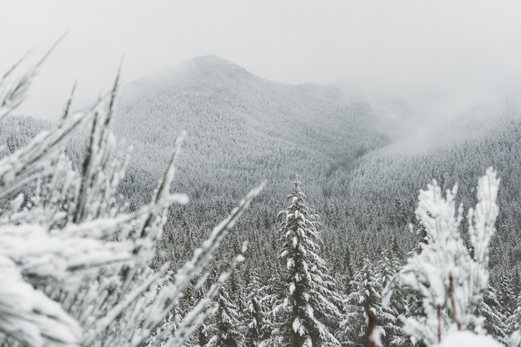 雪山 山 冬天 冬季 山川 树林 树 松树 自然 唯美 