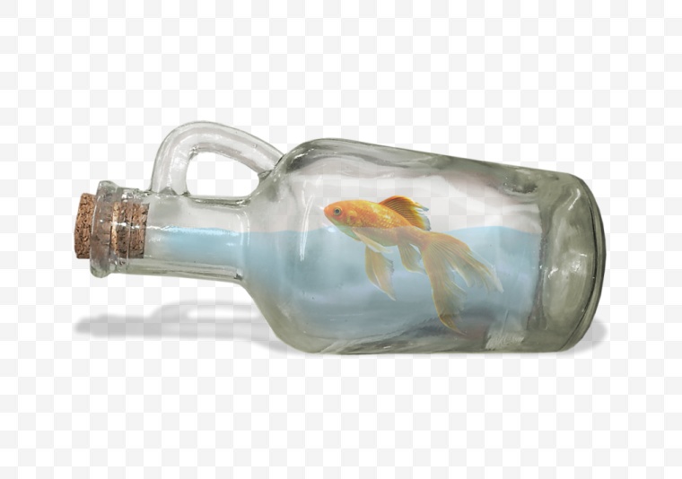 漂流瓶 瓶子 玻璃瓶 鱼 金鱼 海洋 大海 