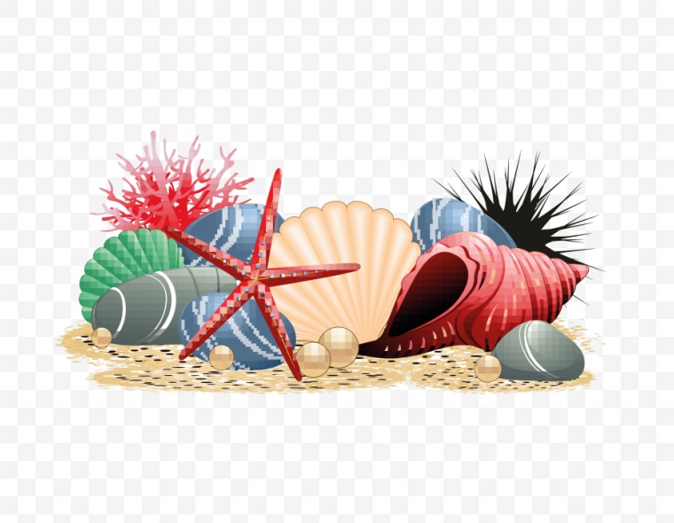贝壳 海洋 沙滩 大海 海星 卡通 卡通贝壳 