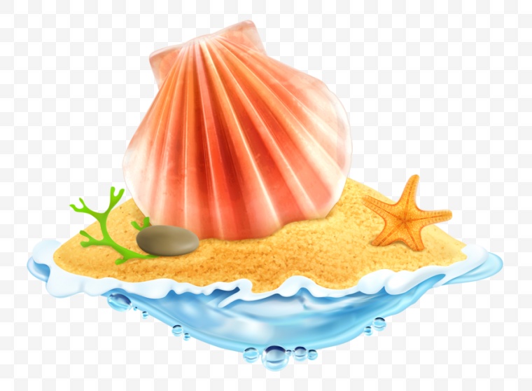 贝壳 海洋 沙滩 大海 海星 卡通 卡通贝壳 