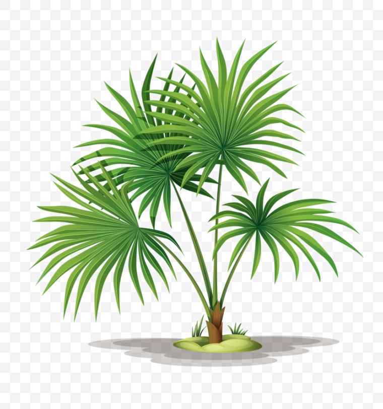 椰树 椰子树 卡通椰树 树 树木 棕榈树 棕榈 
