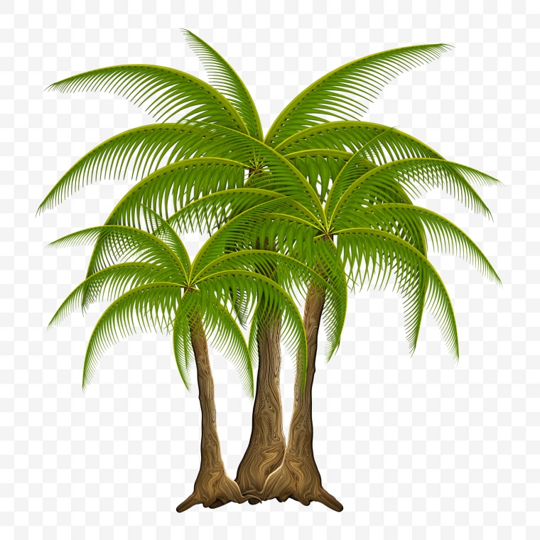 椰树 椰子树 卡通椰树 树 树木 