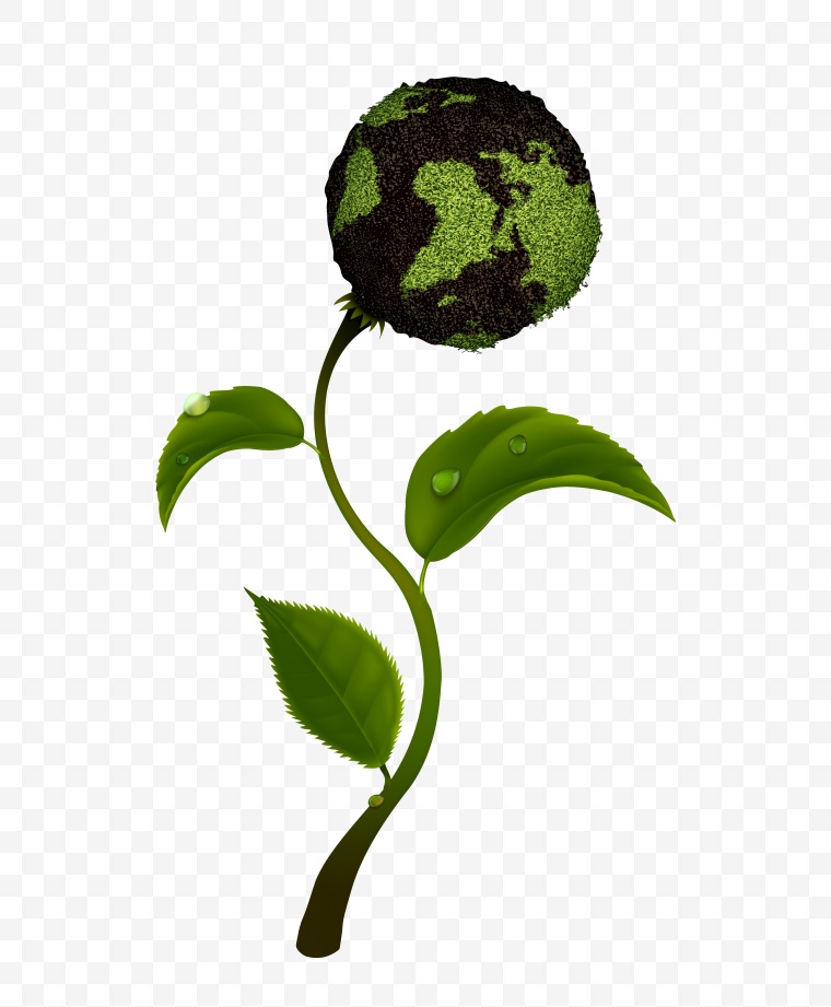 环保 绿色环保 绿色 生态 嫩芽 植物 树芽 地球 