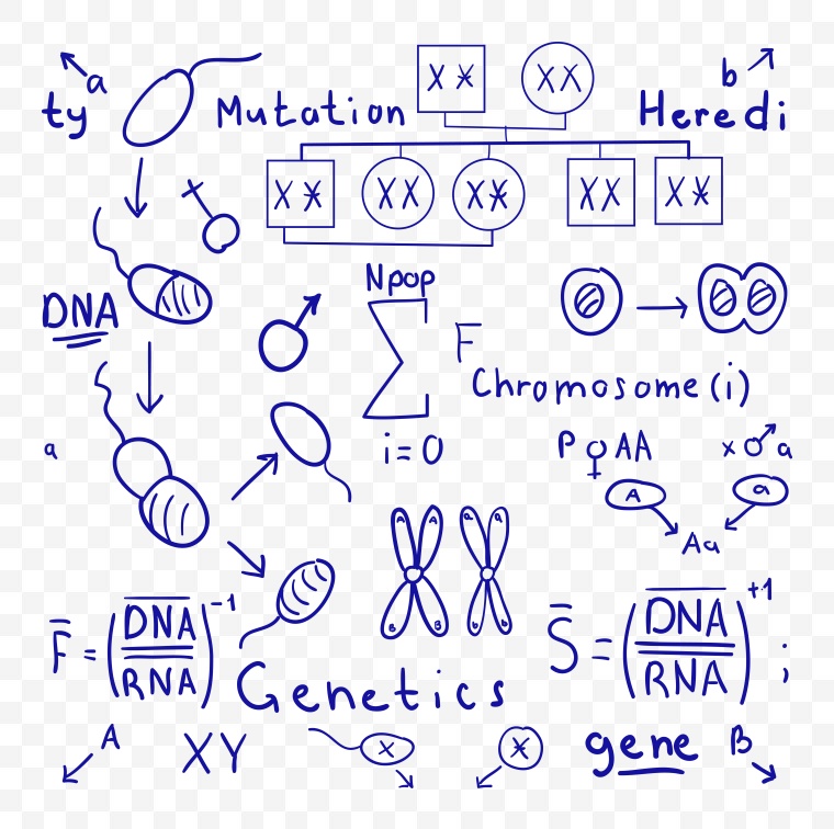 素描 教育 铅笔画 素描草图 铅笔草图 化学 