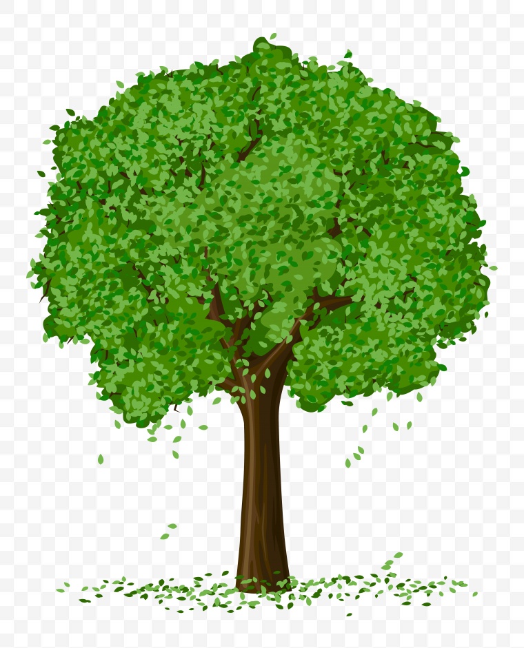 树木 树 树干 夏天 环保 生态 