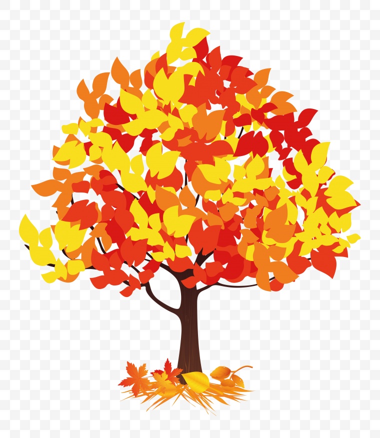 树木 树 树干 秋天 环保 生态 