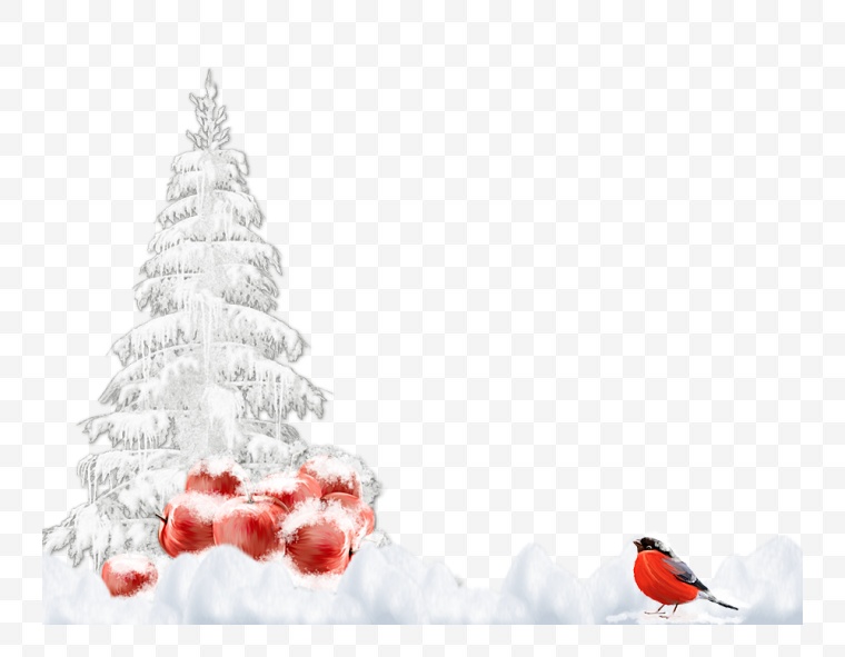 冬天 雪花 雪 圣诞树 树枝 装饰 圣诞装饰 