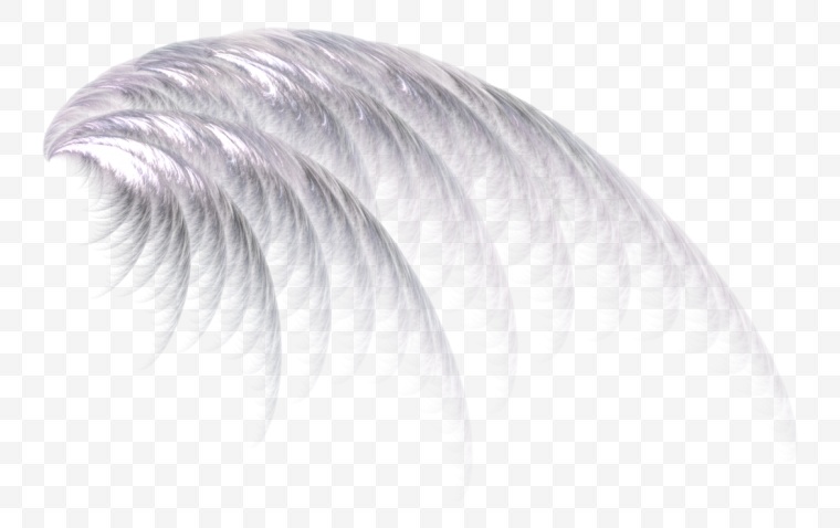 翅膀 羽毛 白色翅膀 天使 天使的翅膀 