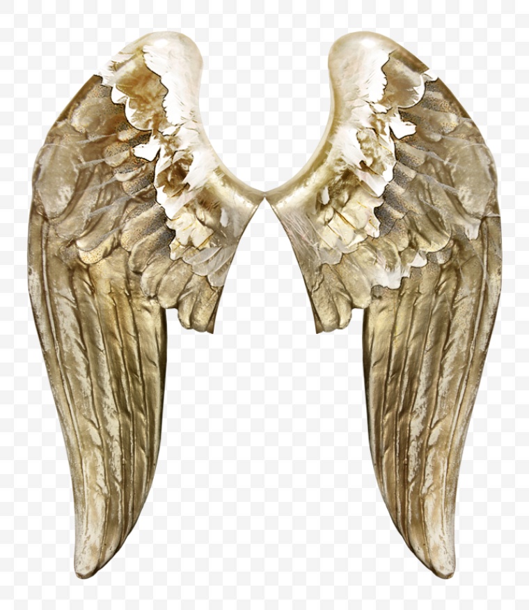 翅膀 羽毛 金色翅膀 天使 天使的翅膀 
