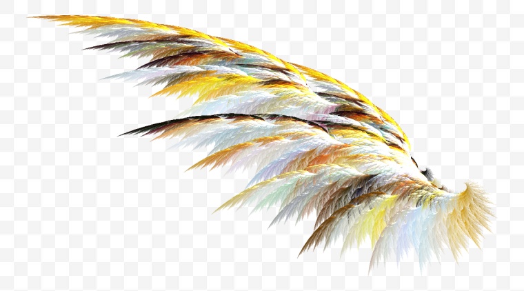 翅膀 羽毛 彩色翅膀 天使 天使的翅膀 