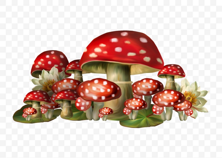 蘑菇 小蘑菇 卡通蘑菇 
