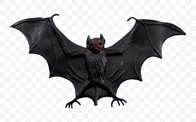 万圣节 万圣节标志 万圣节装饰 蝙蝠 吸血蝙蝠 