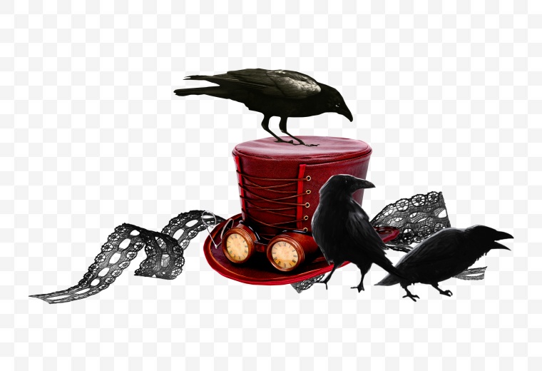 万圣节 万圣节标志 万圣节装饰 乌鸦 黑乌鸦 