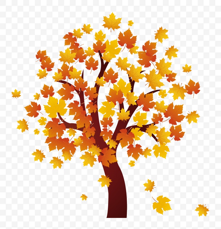 秋天的树 秋天 秋季 树 黄色树 枫叶 