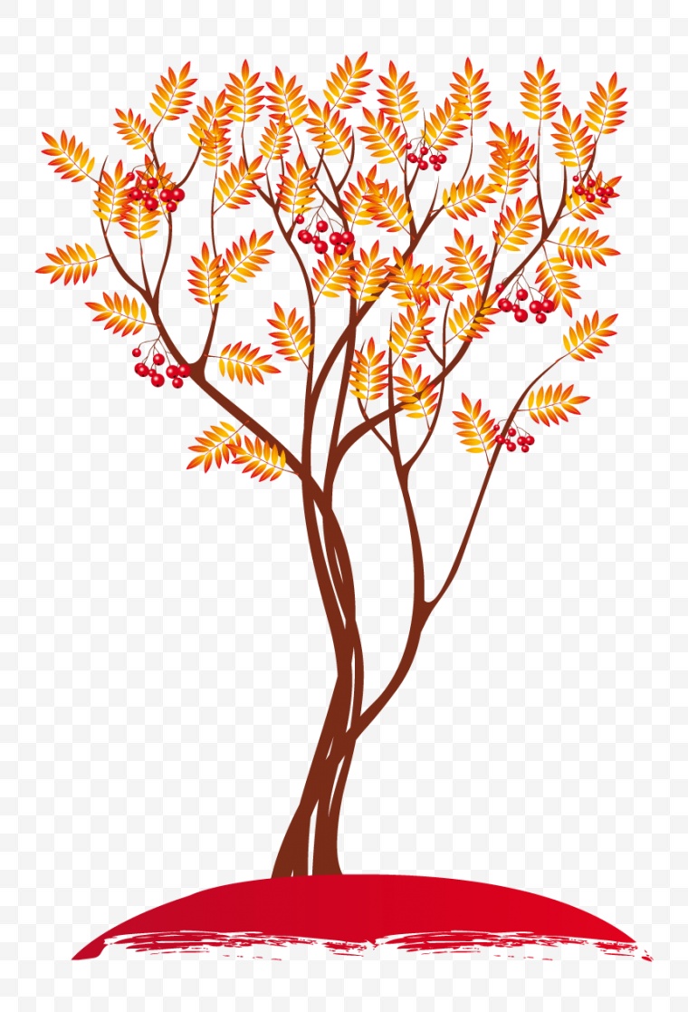 秋天的树 秋天 秋季 树 黄色树 
