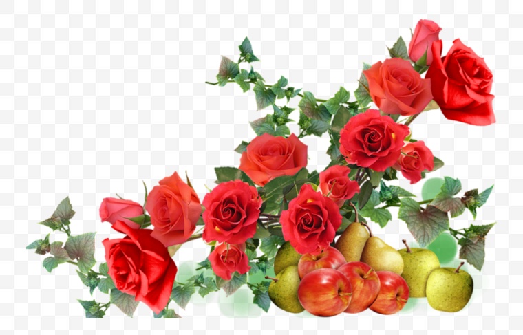 玫瑰花 爱情 花 花朵 浪漫 唯美 情人节 情人节玫瑰花 玫瑰 