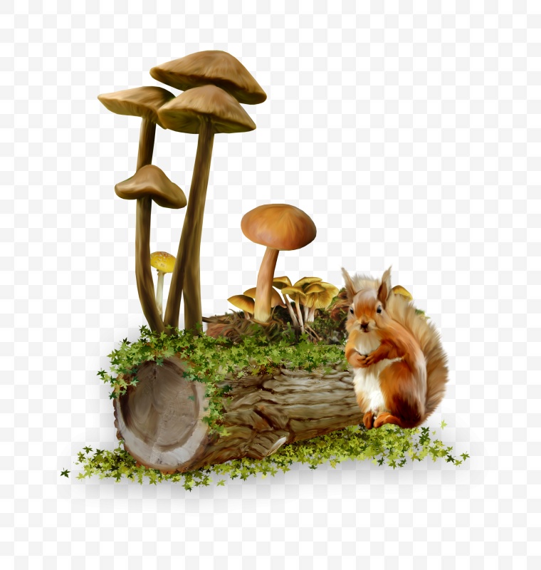 蘑菇 野蘑菇 树桩 卡通蘑菇 兔子 