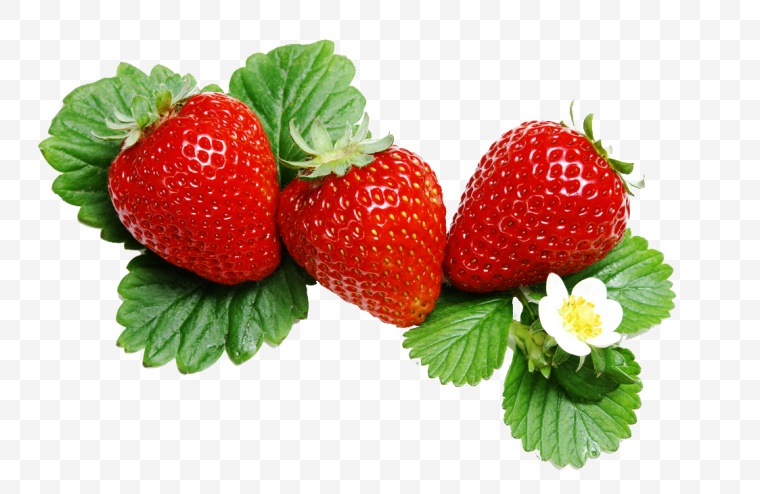 草莓 水果 果实 