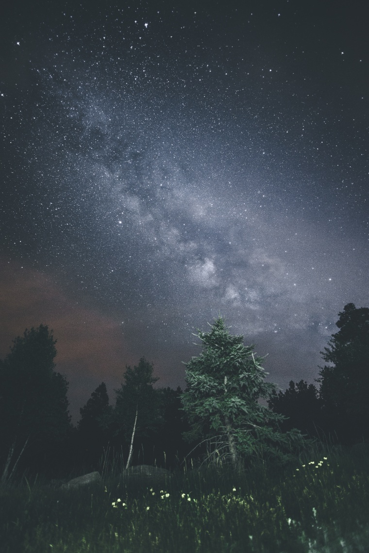星空 星星 夜空 黑夜 树林 树 自然 景色 夜景 