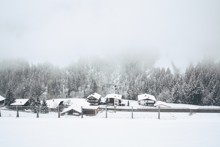 雪景 冬天 冬季 雪松 树林 