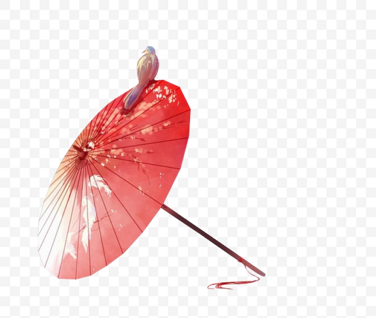伞 古典伞 中国风 