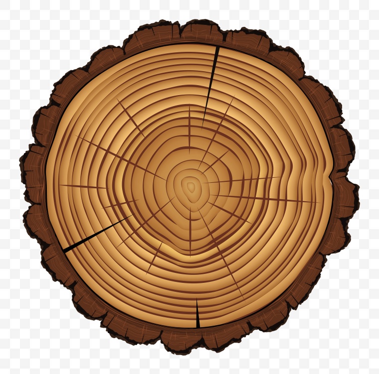 木头 木材 树墩 树桩 