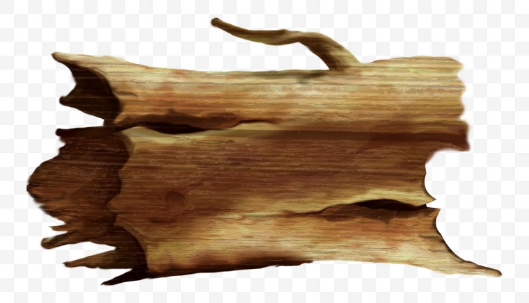 木头 木材 树干 树墩 树桩 