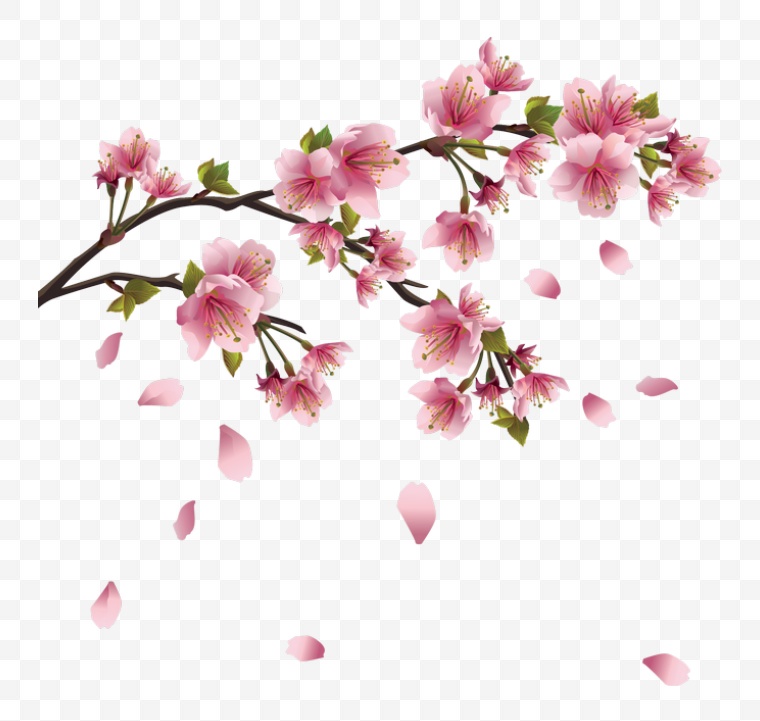 花 花枝 开花 树枝的花 春节 春天 春 桃花 树枝 