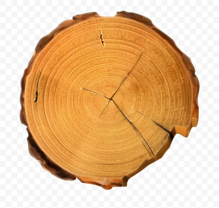 木头 树木 木桩 木墩 年轮 
