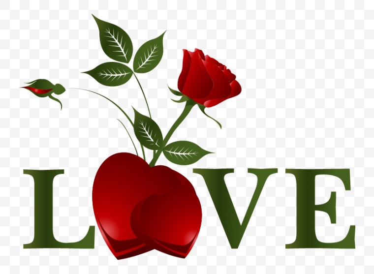 情人节 节日 爱情 爱 爱心 红色爱心 心 LOVE 玫瑰 