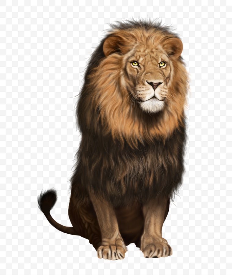 狮子 猛兽 动物 野兽 森林之王 