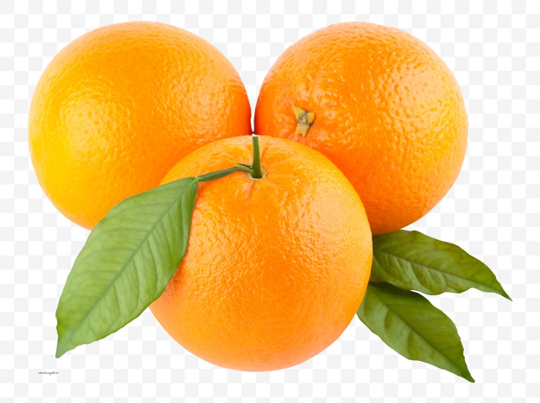 水果 橙子 甜橙 香橙 黄橙 