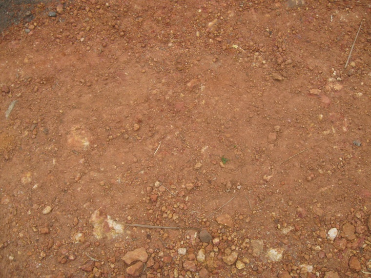 土壤 地面 土壤底纹 地面纹理 