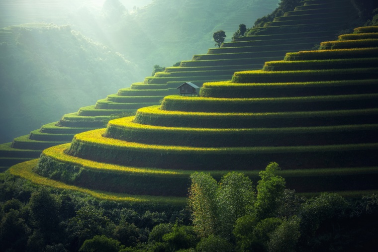 梯田 天 耕地 山 自然 风景 