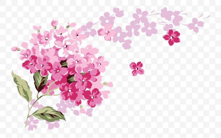 花 鲜花 花朵 小花 紫花 丁香 丁香花 