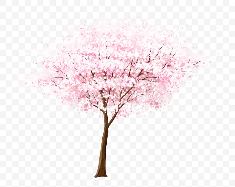 樱花树 樱花 树 自然 春天 春季 
