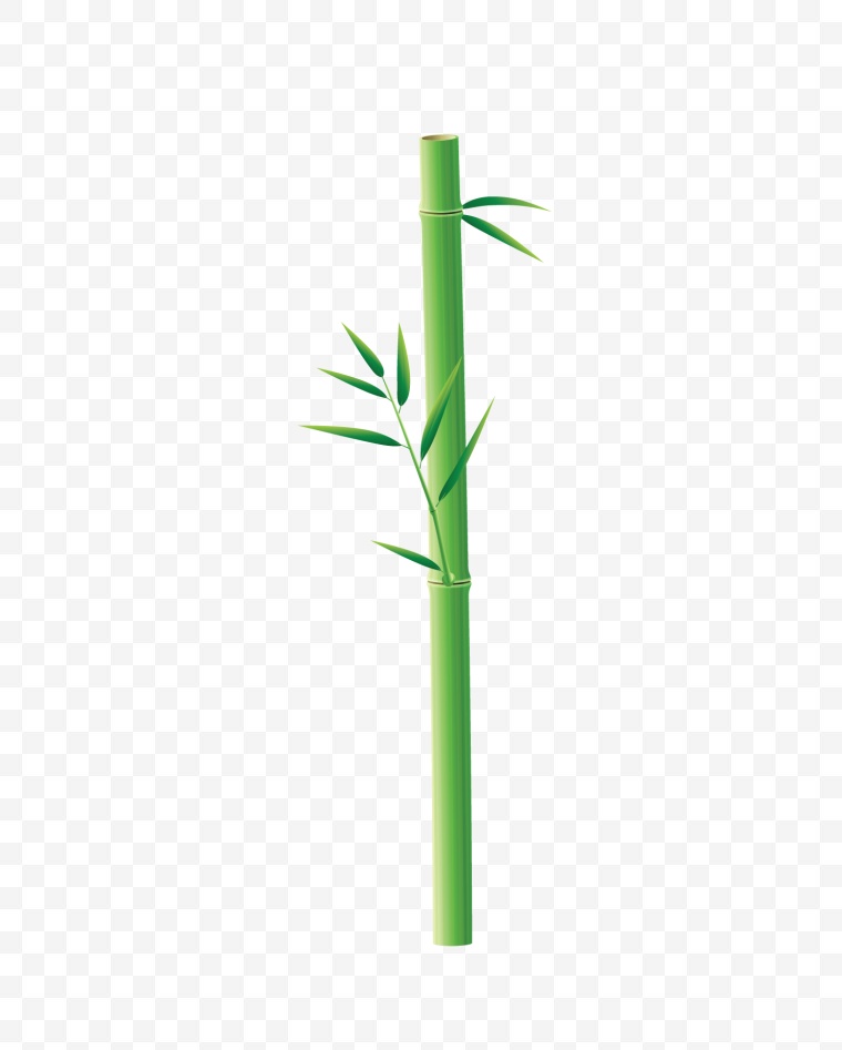 竹子 竹 中国风 端午节 端午 