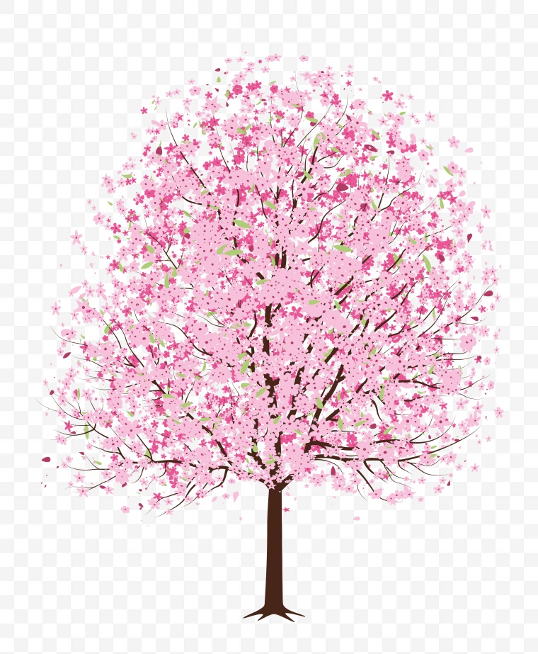 春天 春季 春 树 粉红色的树 春暖花开 