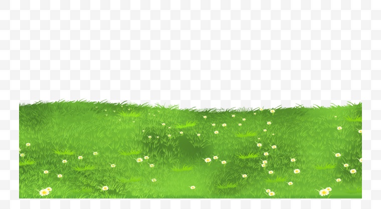 草地 绿草 草 自然 草坪 绿地 春天 草丛 