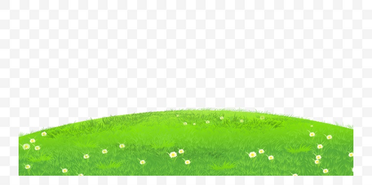 草地 绿草 草 自然 草坪 绿地 春天 草丛 野花 