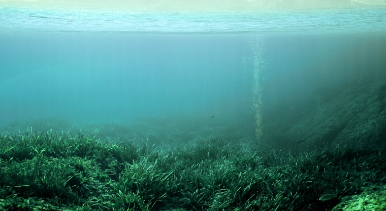 水 水背景 水下 水底 海底 海 