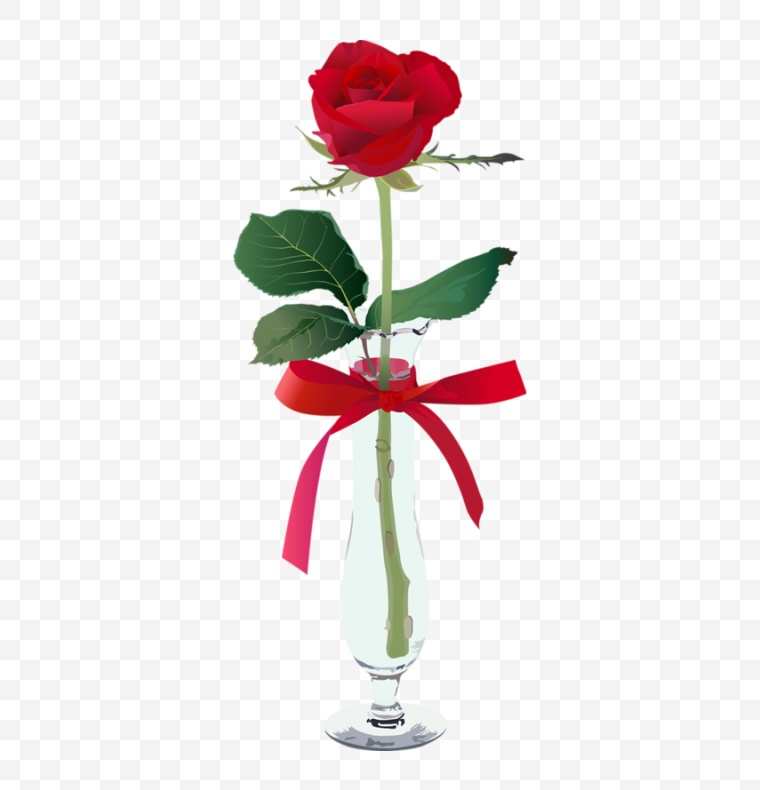 玫瑰花 爱情 花 花朵 浪漫 唯美 情人节 情人节玫瑰花 玫瑰 妇女节 女王节 花瓶 