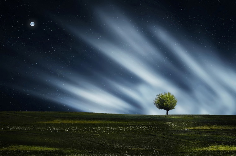 夜晚 夜空 夜 星空 草地 绿地 晚上 夜晚 美 唯美 仙境 一棵树 