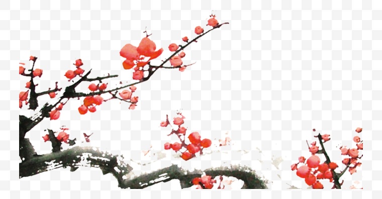 梅花 腊梅 中国风 古典 古典梅花 