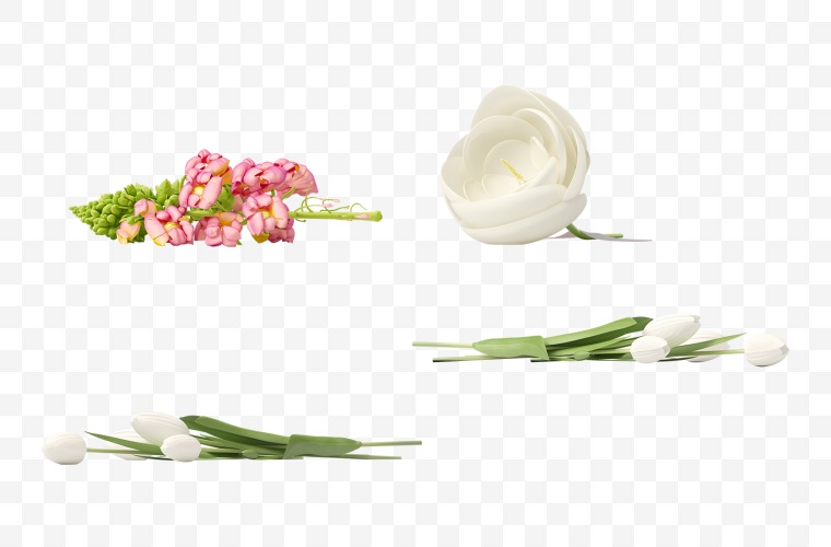 花朵 清新花朵 花 清新 母亲节 白花 白色的花 