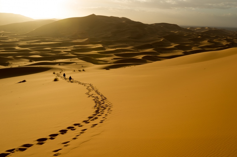 沙漠 沙 沙漠背景 日落 太阳日落 