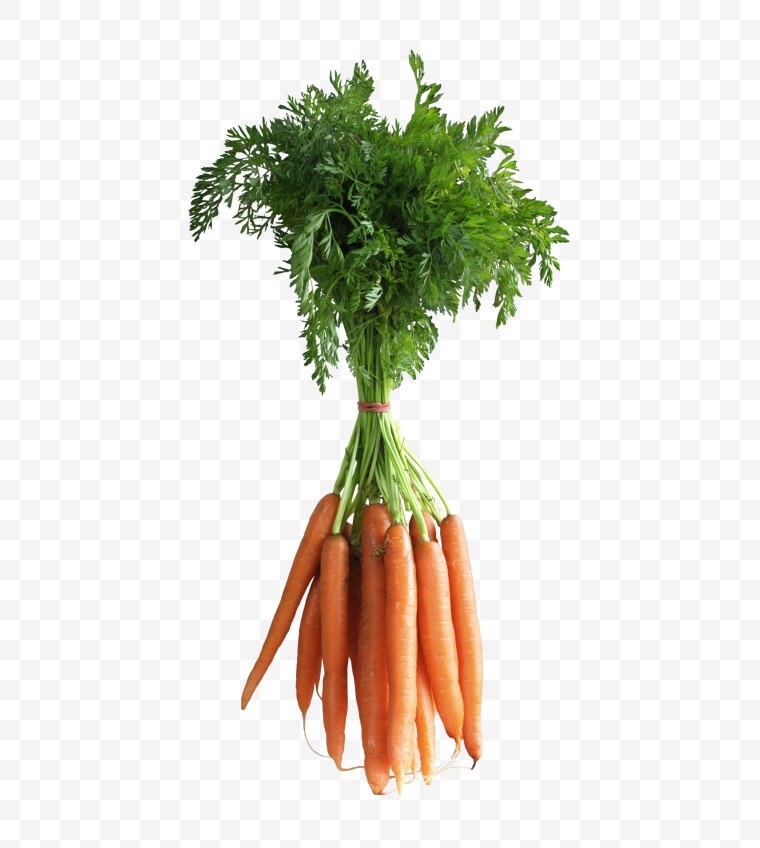胡萝卜 蔬菜 萝卜 